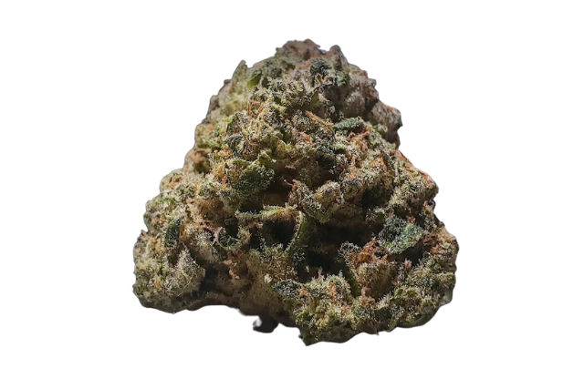sourdough strain - featured image