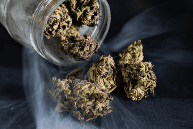 strongest marijuana strains - featured image