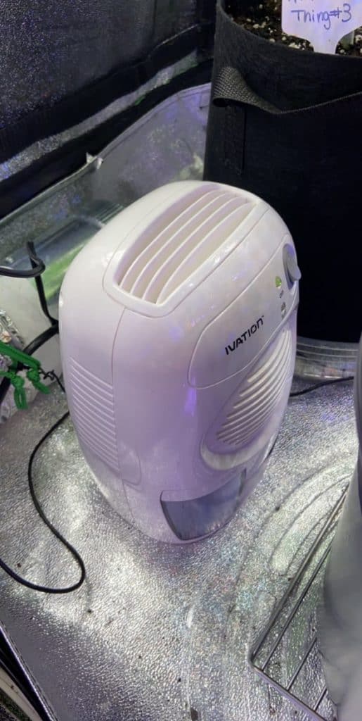 dehumidifier in grow tent