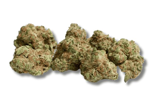 blackberry gelato - featured image