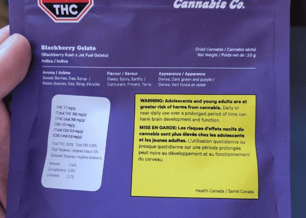 blackberry gelato strain