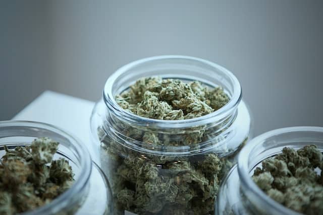 cannabis buds on jars