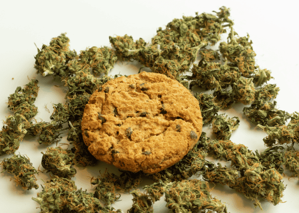 choco chip cookie with marijuana buds