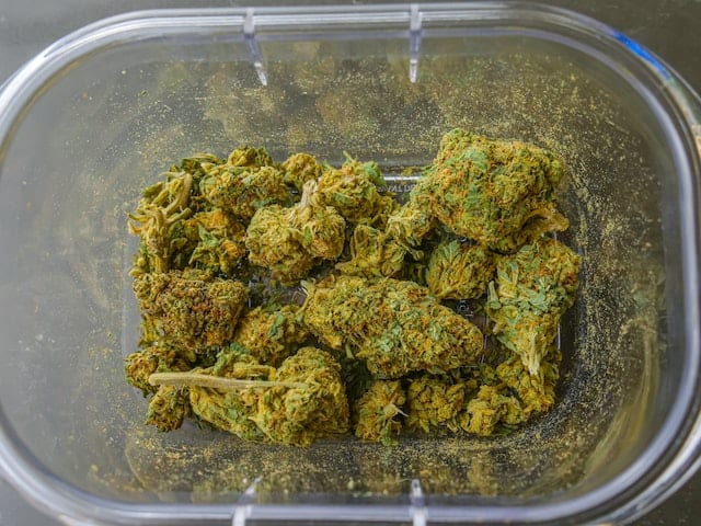 high yielding cannabis strain