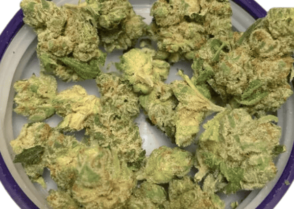 orange gelato strain - featured image