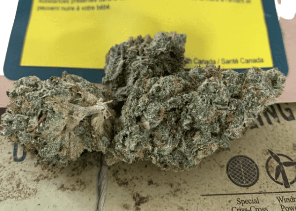 pizza breath strain - packaged