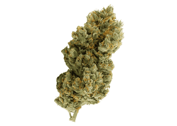star struck nug