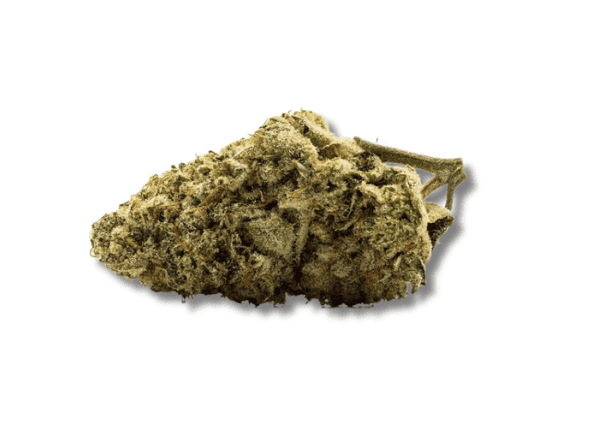 cake pop strain - featured image