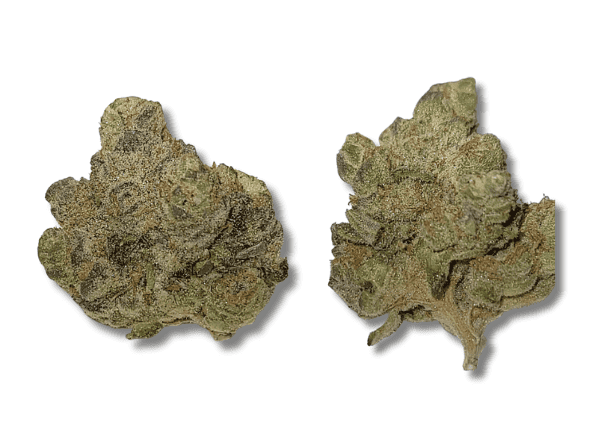 cake pop strain