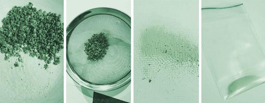 collecting pollen for rodelization