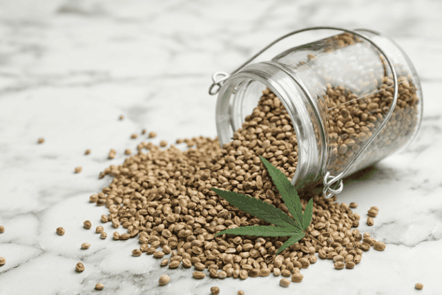 cannabis seeds - featured image