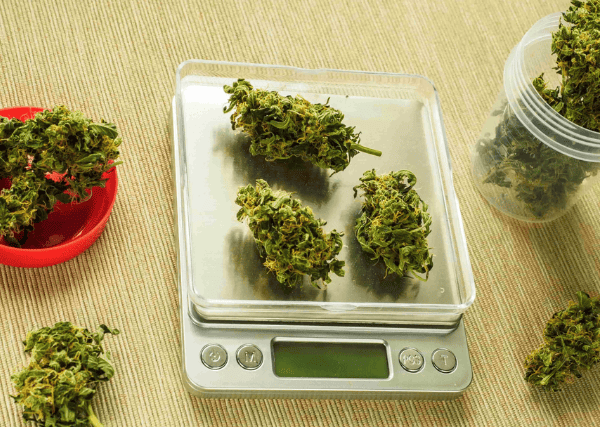 different quantities of weed