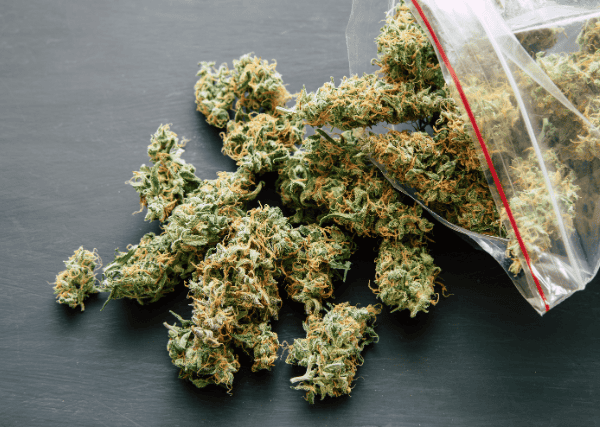 full pack of weed