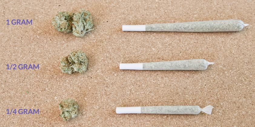 the sizes of joints with 1, 1/2, and 1/4 grams of weed in each one