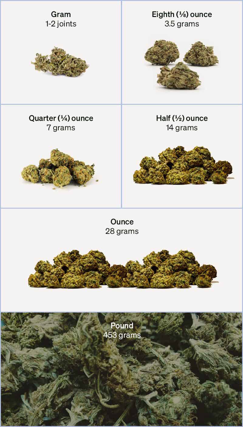 amount of buds contained in common quantities of weed