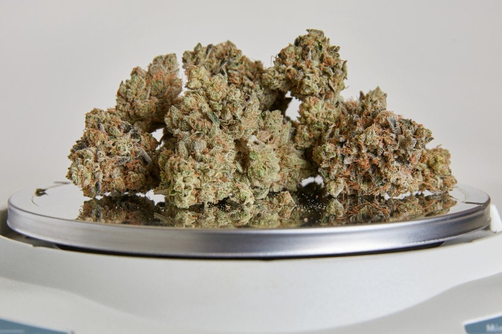 handful of marijuana buds on a scale close-up