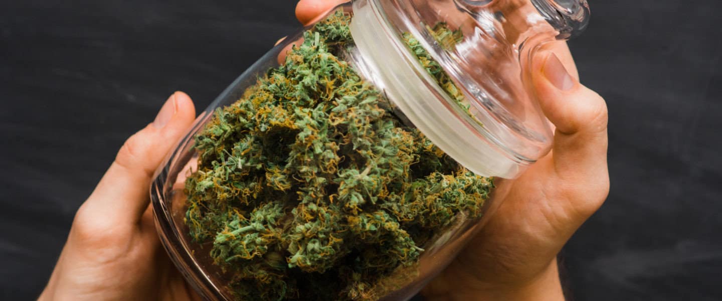 fresh cannabis buds in a sealed glass jar