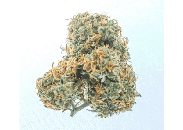 kush - featured image