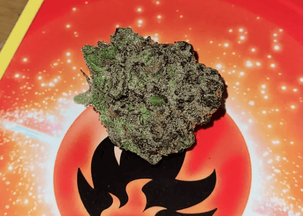 peanut butter mochi strain - featured image