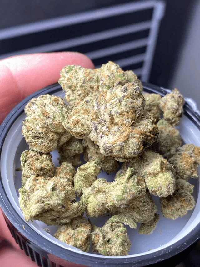 violet fog buds