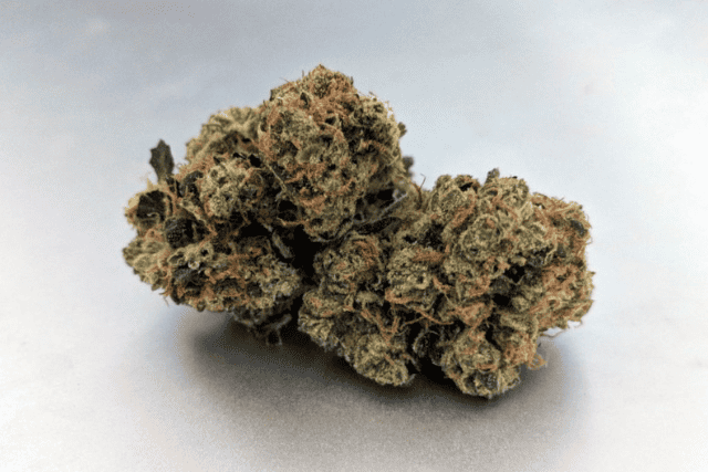 fish scale strain - featured image