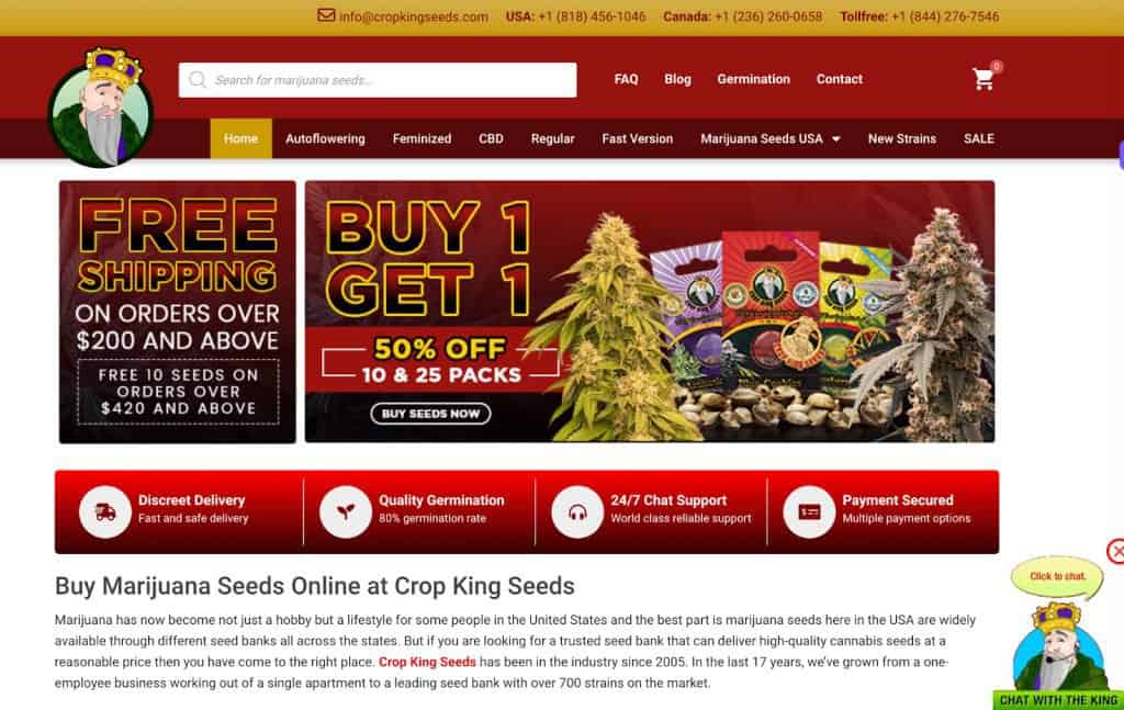 crop king seeds site - featured image