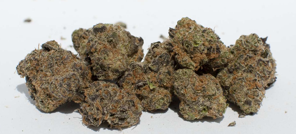 girl scout cookies