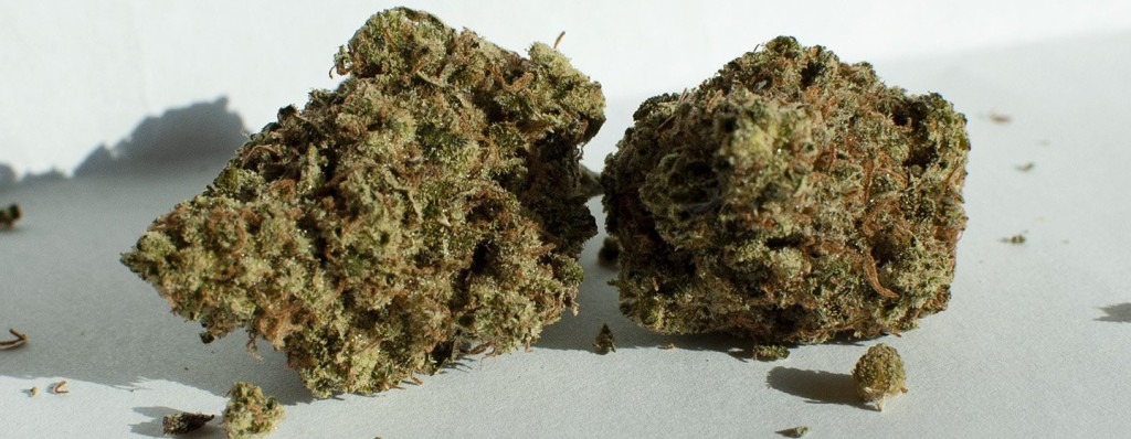 amnesia haze