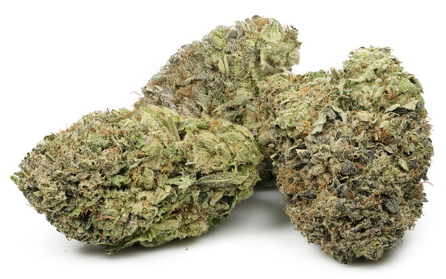 royal gorilla