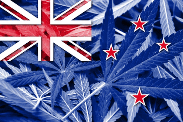 new zealand seeds - featured image