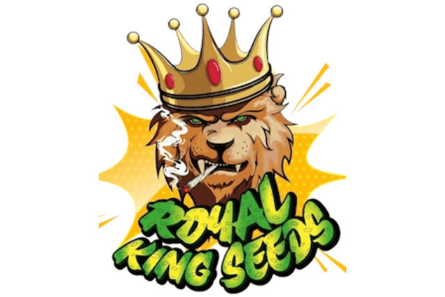 Royal King Seeds - featured image