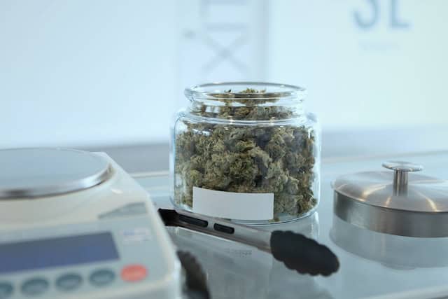 cannabis nugs on a glass container - featured image