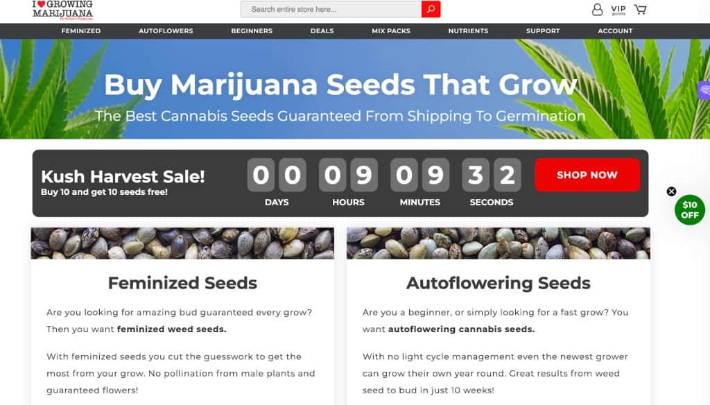 ilgm website - featured image