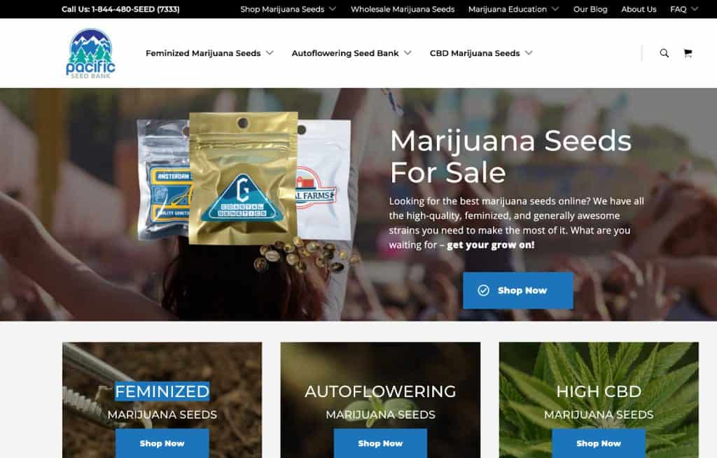 pacific seed bank - featured image