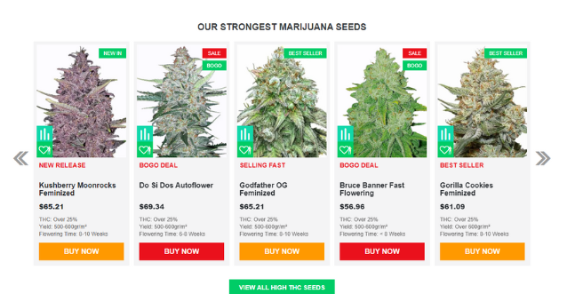 msnl seeds page