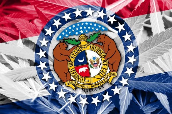 Buying Marijuana Seeds in Missouri - featured image