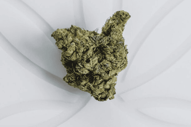 durban poison