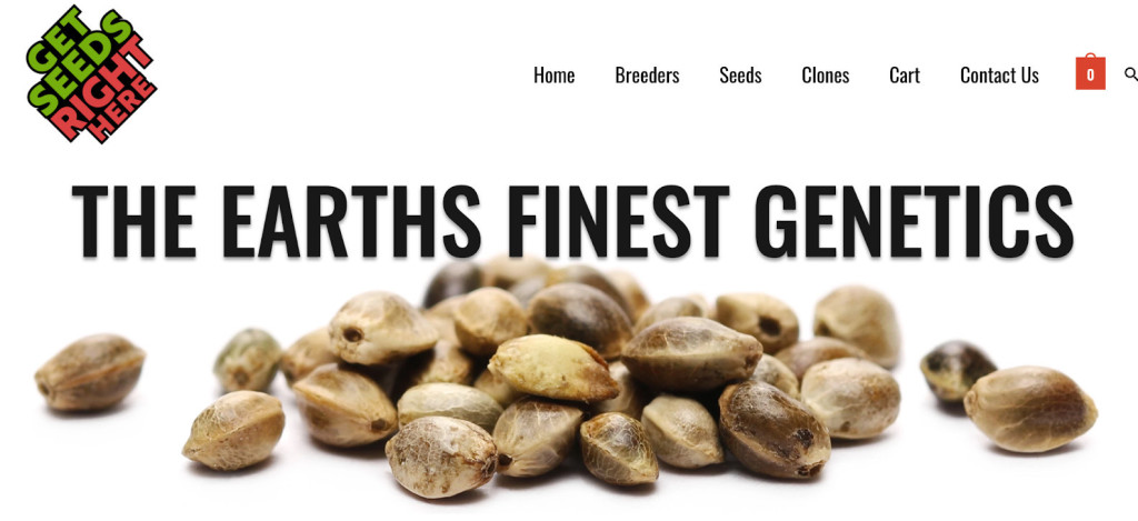 getseedsrighthere - featured image
