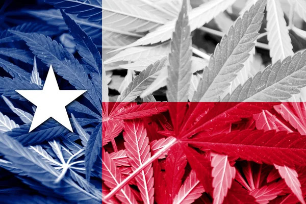 Texas flag with marijuana leaves - featured image