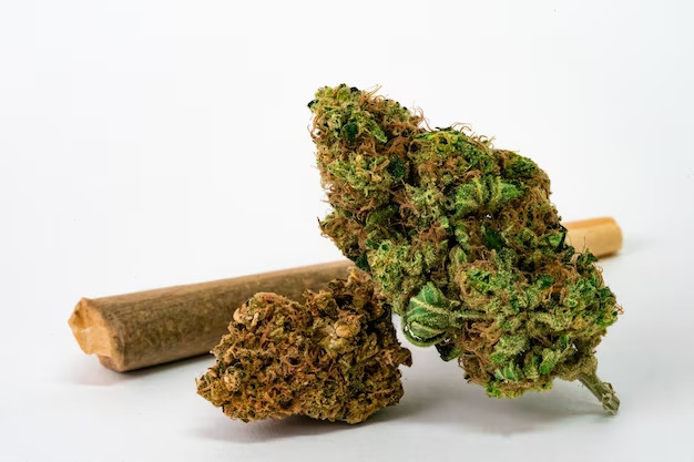 weed and buds - featured image