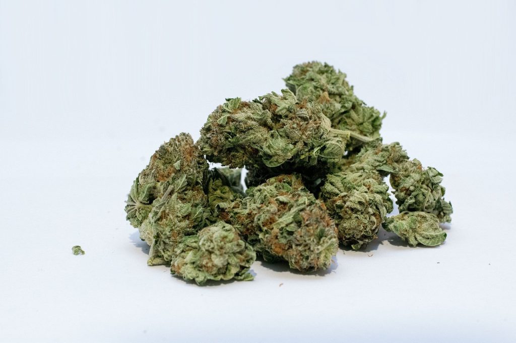 a bunch of weed on a clear surface