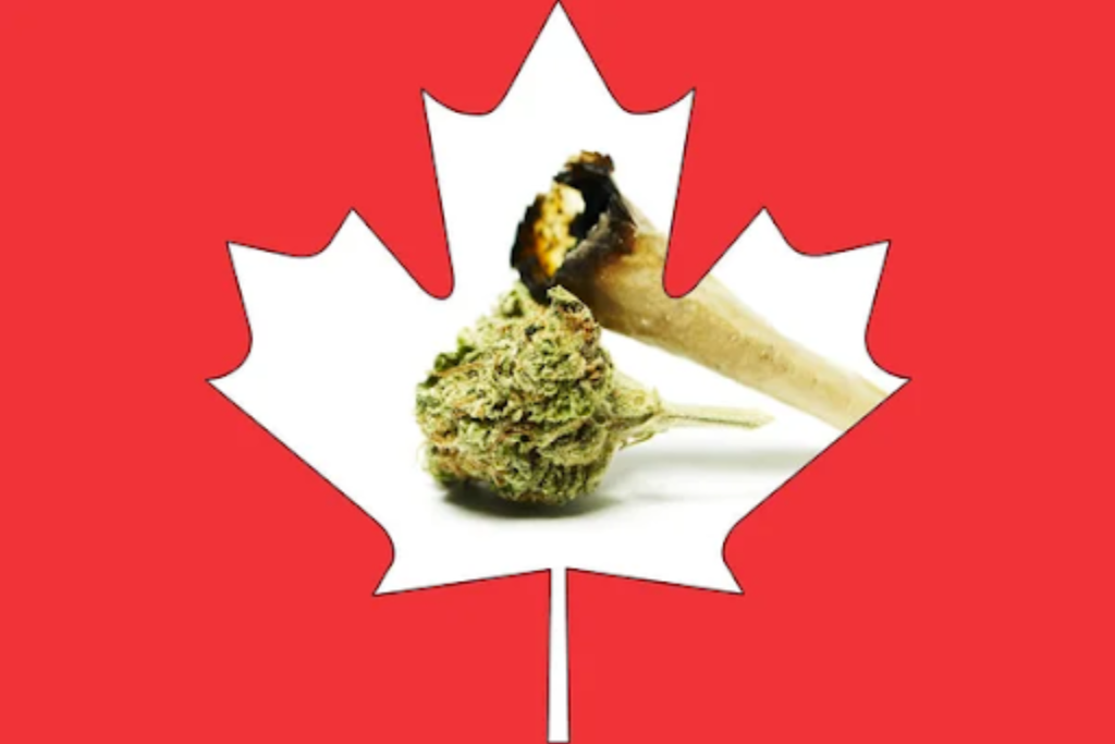 online seedbank in Alberta - featured image