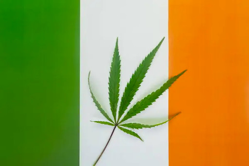 Irish flag with weed leaf - featured image