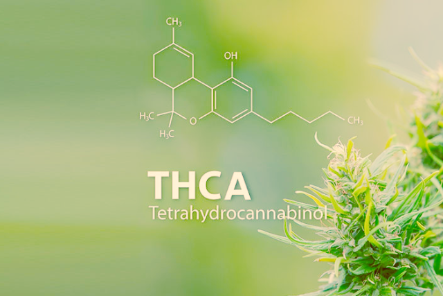THCa genetics