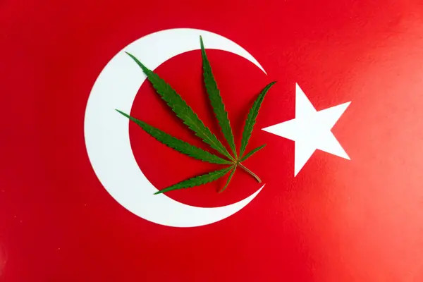 Turkish Flag and Marijuana Leaf - featured image