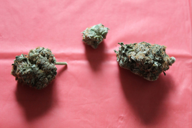 kush and haze - featured image