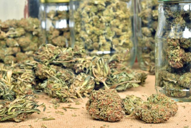marijuana storing process