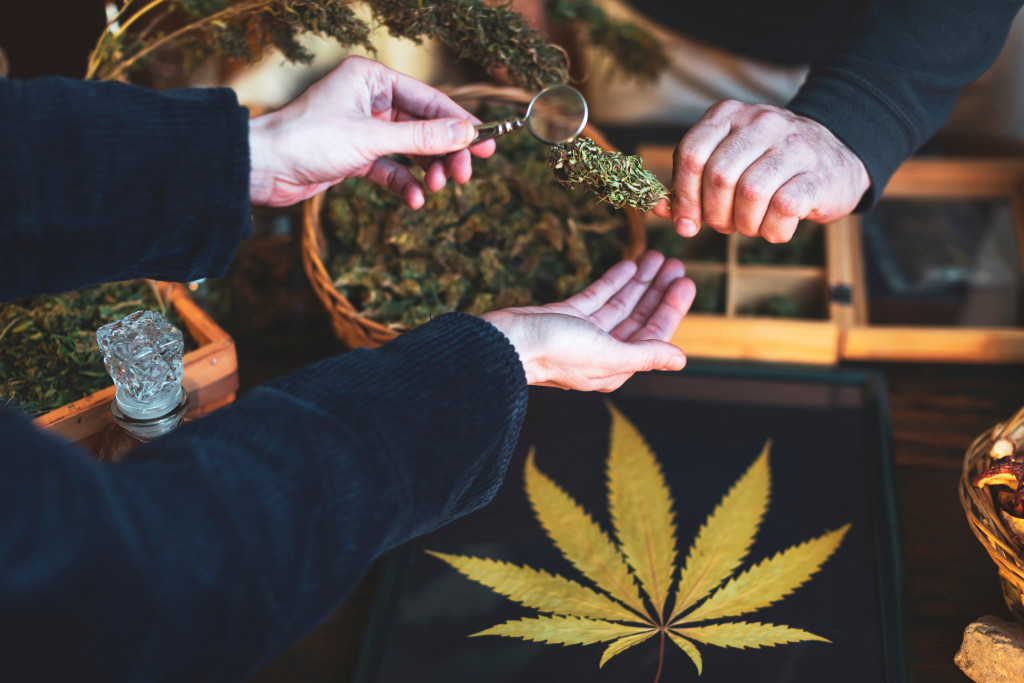 hands checking weed quality