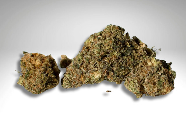 E85 strain