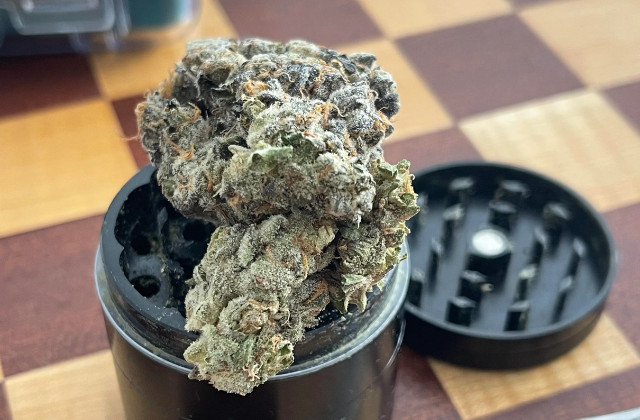 Jelly breath strain appearance